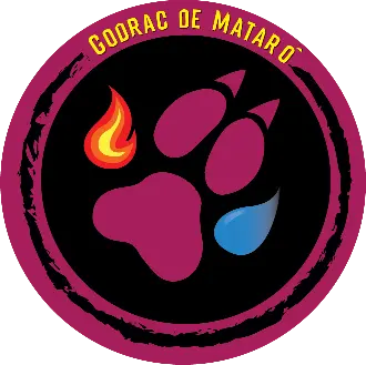 Godrac de Mataró